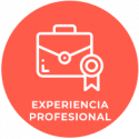 experiencia-profesional