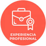experiencia-profesional